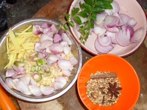 姜`蒜头`咖哩叶`葱头仔`大葱和咖哩香料